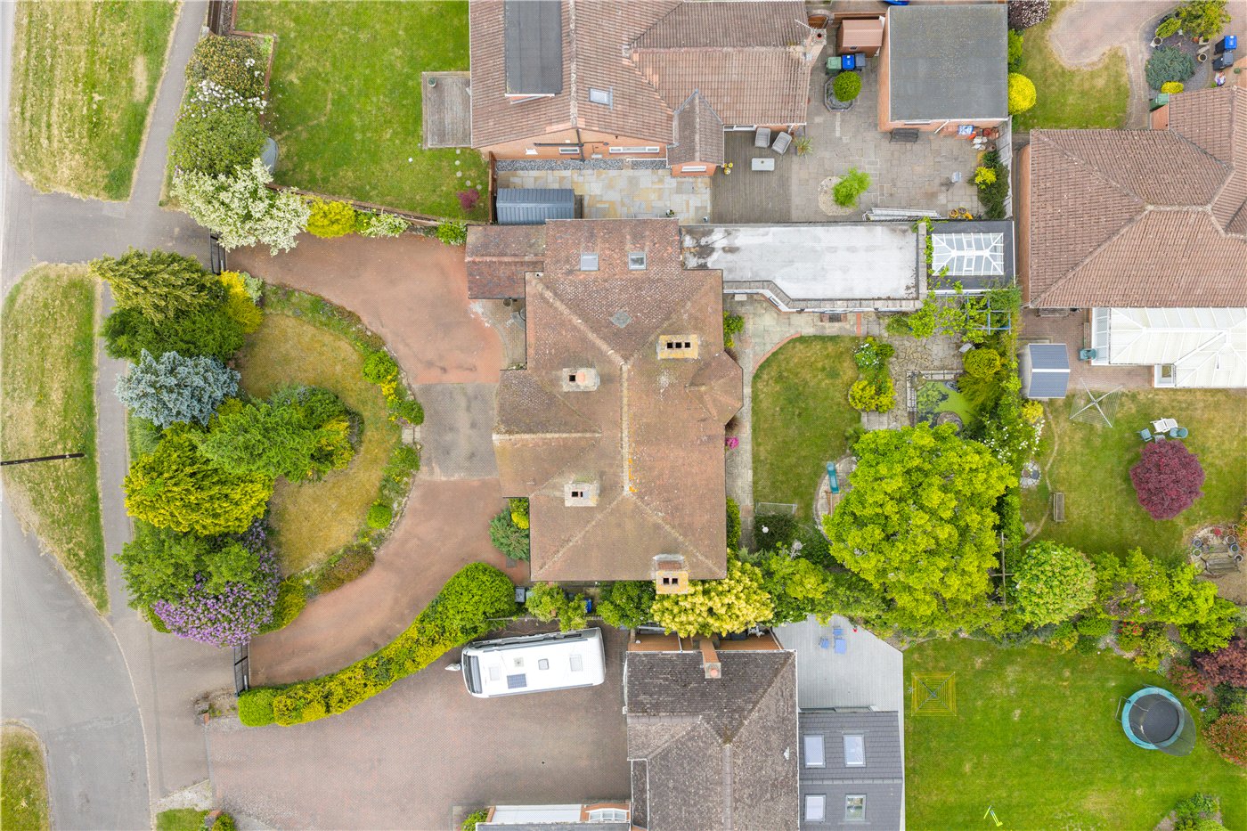 Birdseye